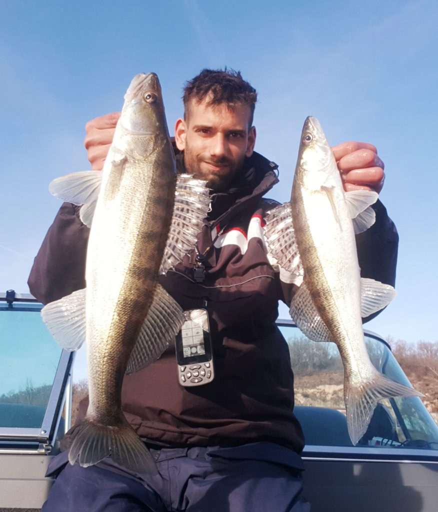 peche sandre tarn